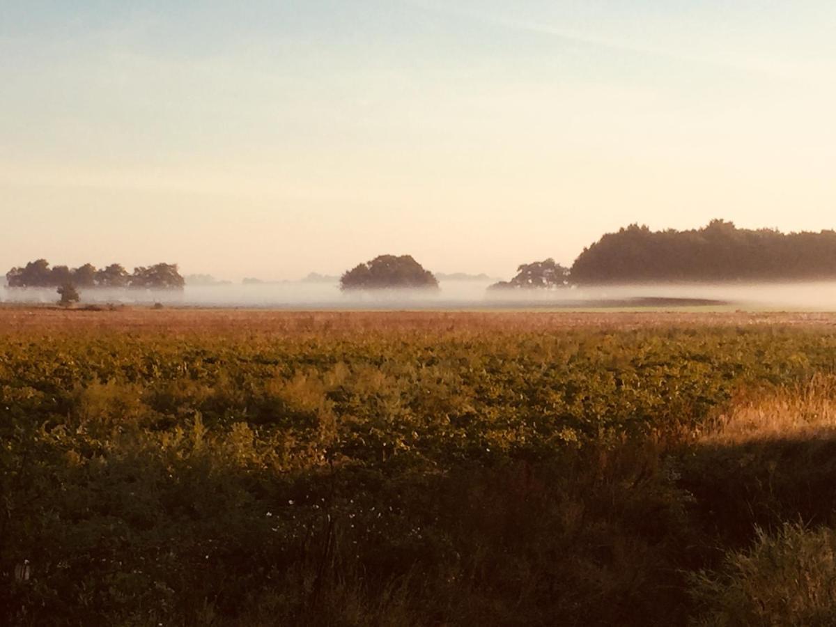 مبيت وإفطار Holsloot De Distelweide المظهر الخارجي الصورة