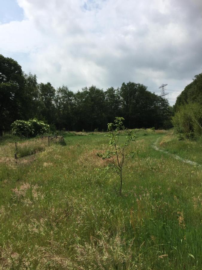 مبيت وإفطار Holsloot De Distelweide المظهر الخارجي الصورة