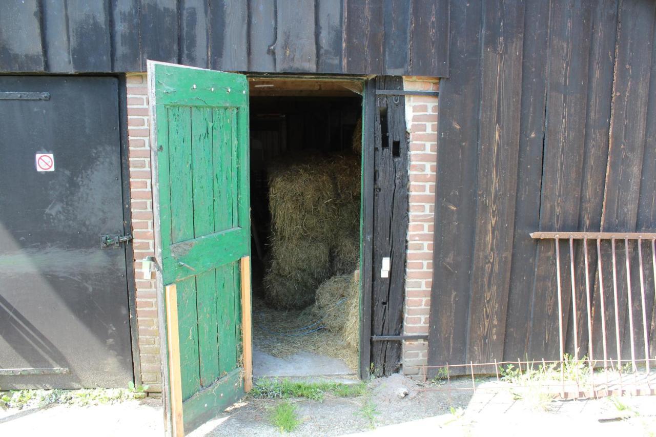 مبيت وإفطار Holsloot De Distelweide المظهر الخارجي الصورة